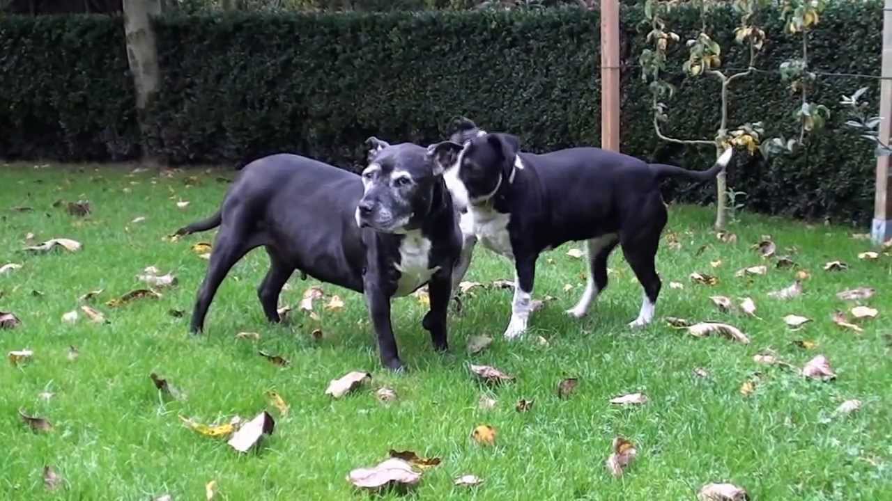 Tiny et Betty 23 oct 2013