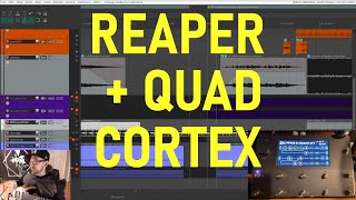 Famous Live Settings w/ Neural DSP Quad Cortex // Utilizing REAPER MIDI Commands to Automate Patch Changes Net Worth
