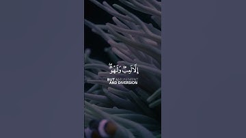 الاية 67 من سورة (العنكبوت) / شاشة سوداء #القرآن الكريم