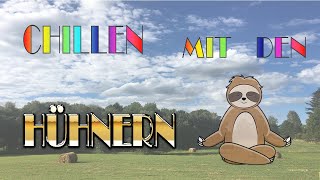 Chillen mit den Hühnern