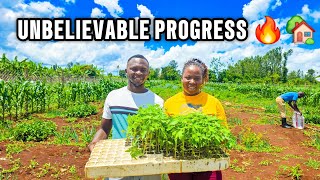 Unbelievable! 1,000 Paw Paw Seedlings Planted 😱 Our Biggest Farm Project Ever😳🌱& Dream Home Progress