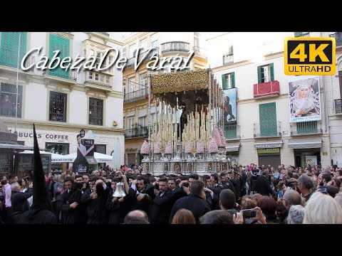 Muy Antigua y Venerable Hermandad del Vía Crucis del Santo Cristo del Calvario y Señor San Francisco de Paula y Cofradía de Nazarenos del Santísimo Cristo Yacente de la Paz y la Unidad en el Misterio de su Sagrada Mortaja, Nuestra Señora de Fe y Consuelo, Santa María del Monte Calvario y San Manuel González