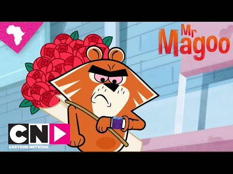 Mr Magoo |