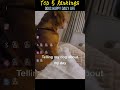 Dogs happy daily life #dog #funny #pets #happy #cutedog #doglife #cute #animals #humour