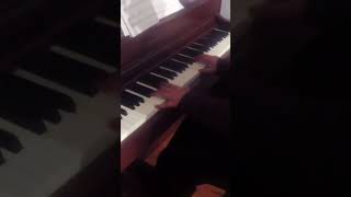 Stephen Schlaks  Blue Dolphin   Cover shorts