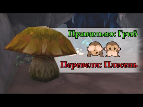 Топ 5 неправильных