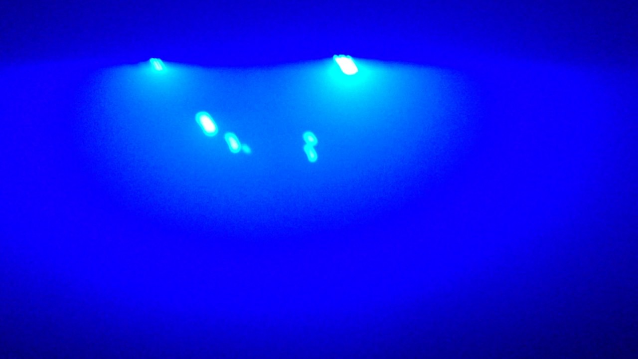 ZITTO - BASSIANI / HOROOM