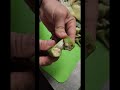 101- Eatin&#39; okra!