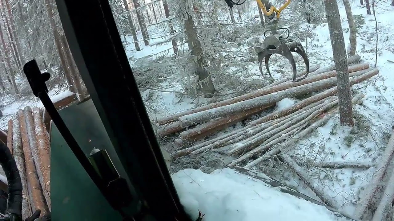 Puiden keräilyä osa1 #valmet #valtra