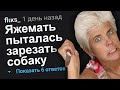 ЯЖЕМАТЬ ПЫТАЛАСЬ ЗАРЕЗАТЬ СОБАКУ. ЯЖЕМАТЬ ИСТОРИИ.