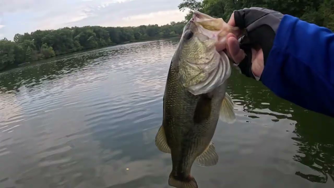 Bass Fishing WS 9-19 JST 9-26-2026