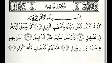 سورة الفيل مكررة ٣ مرات بصوت القارئ(ماهر المعيقلي)