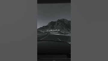 تلاوة هادئة 🌿🌹 ||   حالات واتس اب دينية
