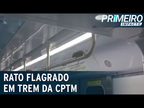 Passageiro flagra rato em barra de proteção de trem da CPTM | Primeiro Impacto (22/07/22)