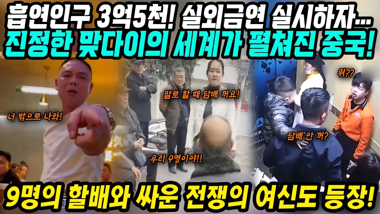 중국반응│할배 9명과 싸운 전쟁의 여신 등장│흡연인구 3억5천만명! 실외금연 실시하자 중국에서 벌어진 일│아비규환 혼란의 중국상황│중국어로[路]