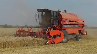 Mähdrescher Deutz-Fahr M1322 Weizenernte bei Meldorf