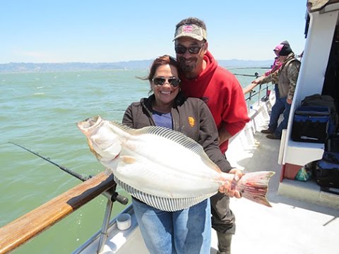 How To Catch Halibut & Stripers In S F Bay: Episode 2 