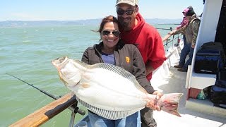 How To Catch Halibut & Stripers In S F  Bay: Episode 2
