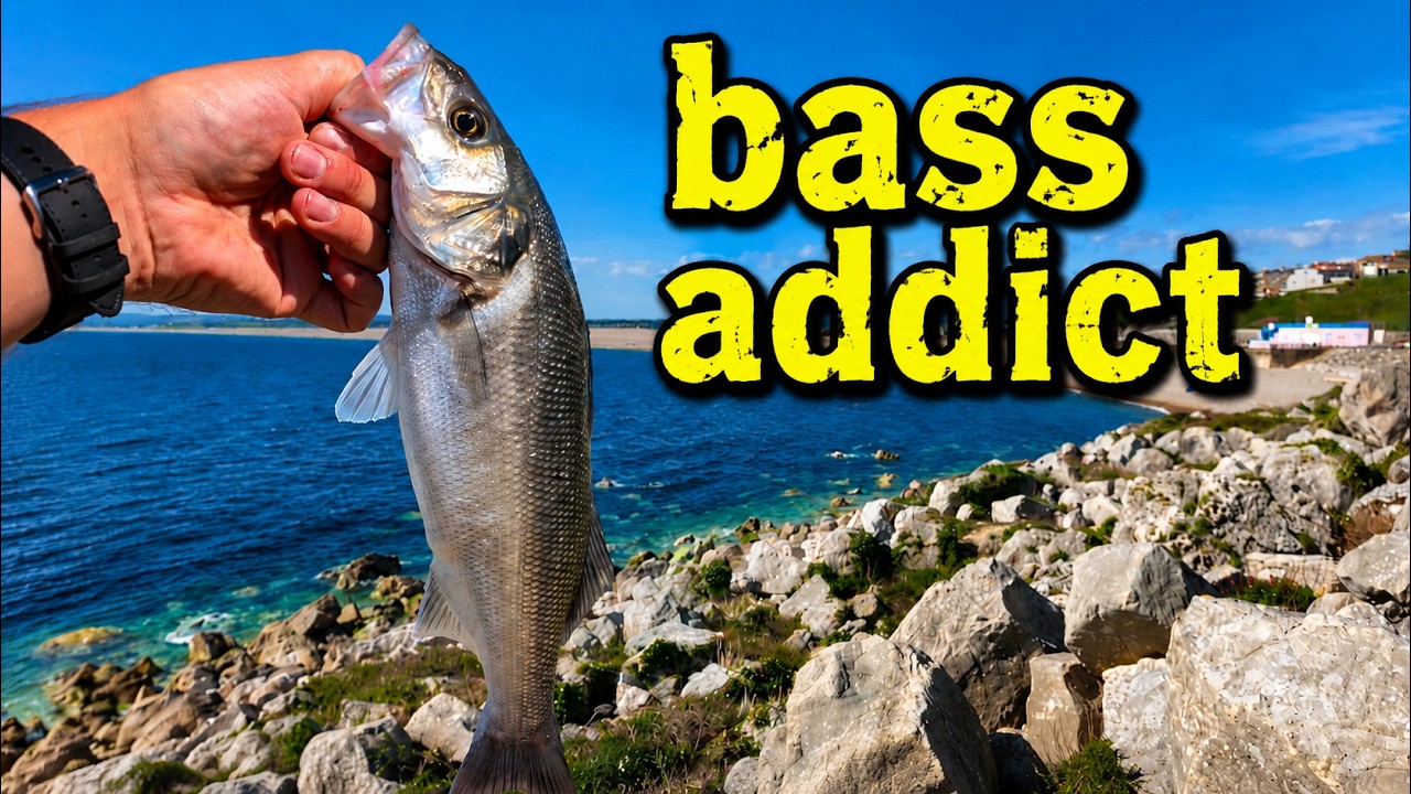 LRF – The only lure you need for Bass