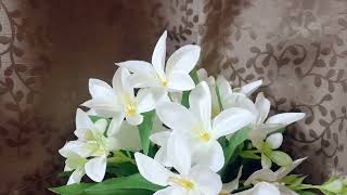 Tera Naam - Ghazal Of Sajjad Ali Sudipta Chatterjee Stay Happy With Muzik