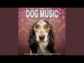 Dog music dreams