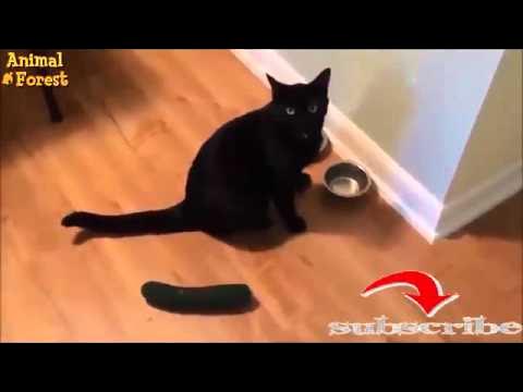 Жалаңаш ажырасқан әйелдердің жеке суреттері