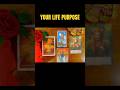 Life Purpose Tarot Reading #psychictarot #psychiclovereading #tarot #channeledmessage