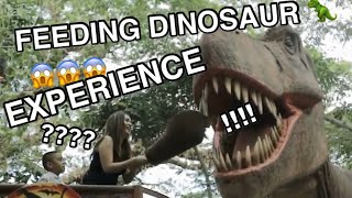 Feeding Dinosaur Experience Dino Island