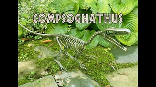 Creating Life Size Steel Compsognathus Skeletons