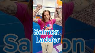 Salmon Ladder Tutorial