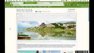 WEBININE: Email Newsletter Sign-Up Process Review