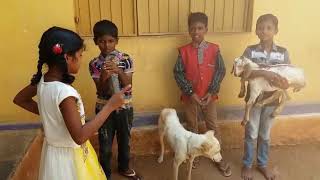 Class1 My Pet Animalscome Come Cat Rhyme By Sreenivasulu Bikkikalyandurganantapur