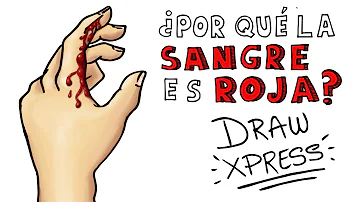 ¿Todos los humanos tienen sangre roja?