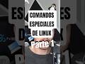 Como tener la Terminal Matrix fácil y rápido 💻✨