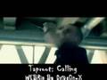 Capture de la vidéo Taproot - Calling (Video) Album Version