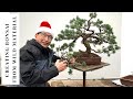 How to think when making Bonsai