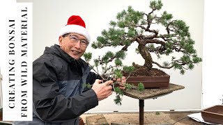 How to think when making Bonsai