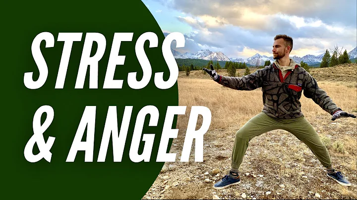 Qigong for Stress and Anger | NEW Long Version | W...
