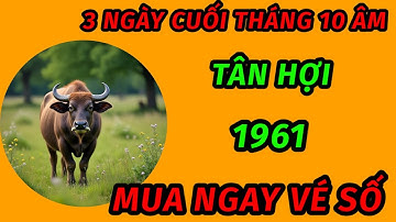 3 ngày đặc biệt cuối tháng 10 âm lịch cho tuổi tân sửu 1961 vận may kéo đến trúng số độc đắc giàu có