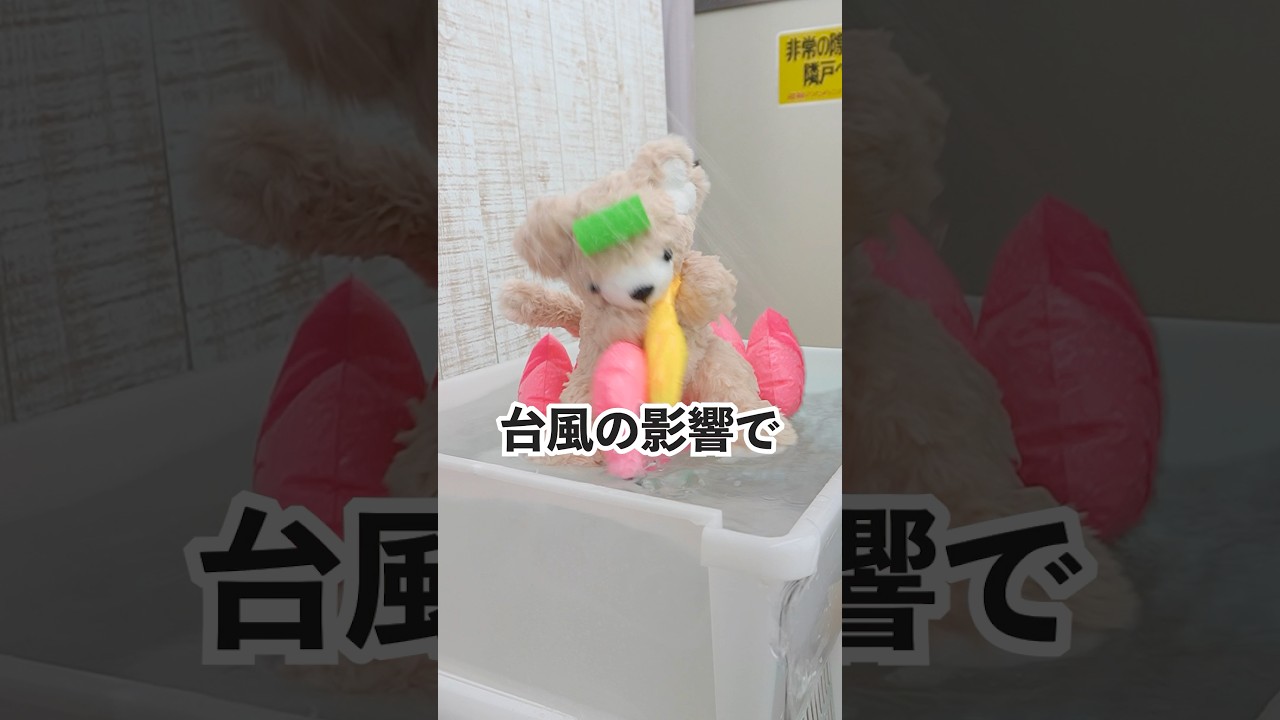 【緊急告知】台風の影響でイベント延期