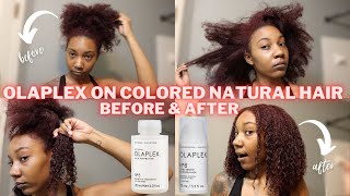 I tried OLAPEX on DAMAGED COLORED NATURAL HAIR here's what happened RESULTS? QUICKLY REPAIR DAMAGE?