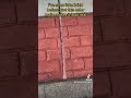 #diy #tools #bricks #cement #nyc #walkthrough #harborfreight #pumpkin #cheap #dollartree #homedepot