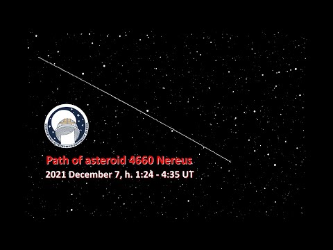 Nereus, l'asteroide che l'11 dicembre 2021 passerà a 4 milioni di km dalla Terra
