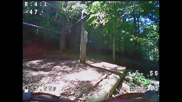 Between the Trees, TinyhawkS DVR, Chill Flight