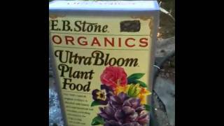 When to use Bloom fertilizers
