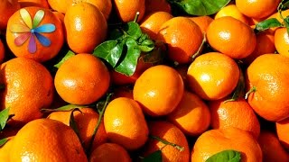 Как выбрать безопасные и вкусные мандарины – Все буде добре. Выпуск 724 от 17.12.15 Как выбрать безопасные и вкусные мандарины – Все буде добре. Выпуск 724 от 17.12.15