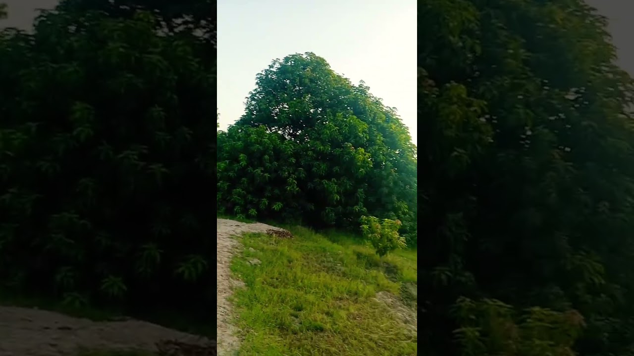 Support Pakistani Hindus 🙏 Subscribe to Our Channel