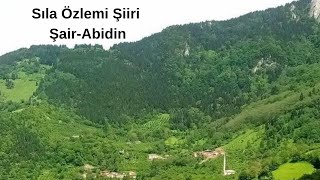 Sıla Özlemi Şiiri, Şair-Abidin