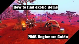No Man's Sky | How to find exotic items