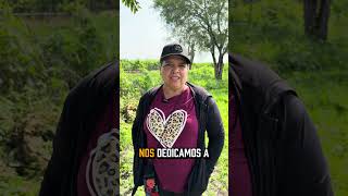 Sumar Maíz está transformando los campos jaliscienses.